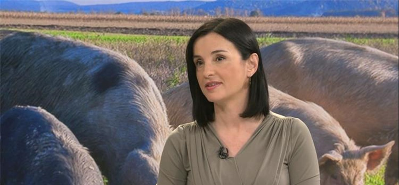 Vučković za RTL: Nacionalni veterinarski sustav radi dobro